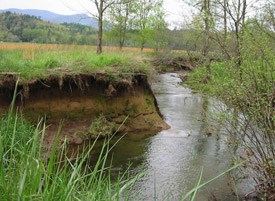 Abrams Creek, Cades Cove.