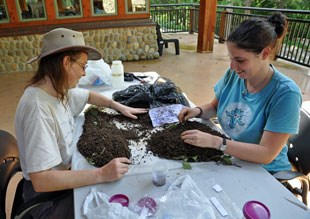 Researchers Anita Juen and Daniela Straube sift soil samples.