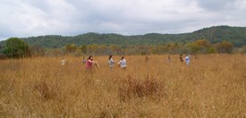 Students take part in native seed harvest service project.