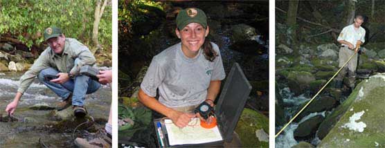 A composite of three photos showing National Park Service volunteers, technicians, and student interns working in the fisheries field.