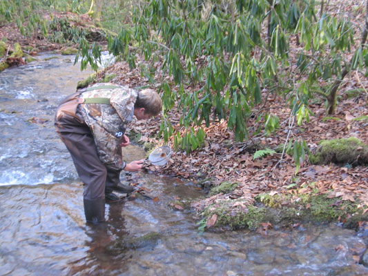 boy searching for dragonfly nymphs