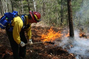 A firefighter manages a fire in the park.