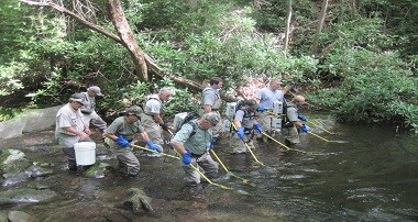 A fisheries crew and volunteers electrofish in a stream