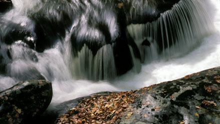 Close-up of Middle Prong River
