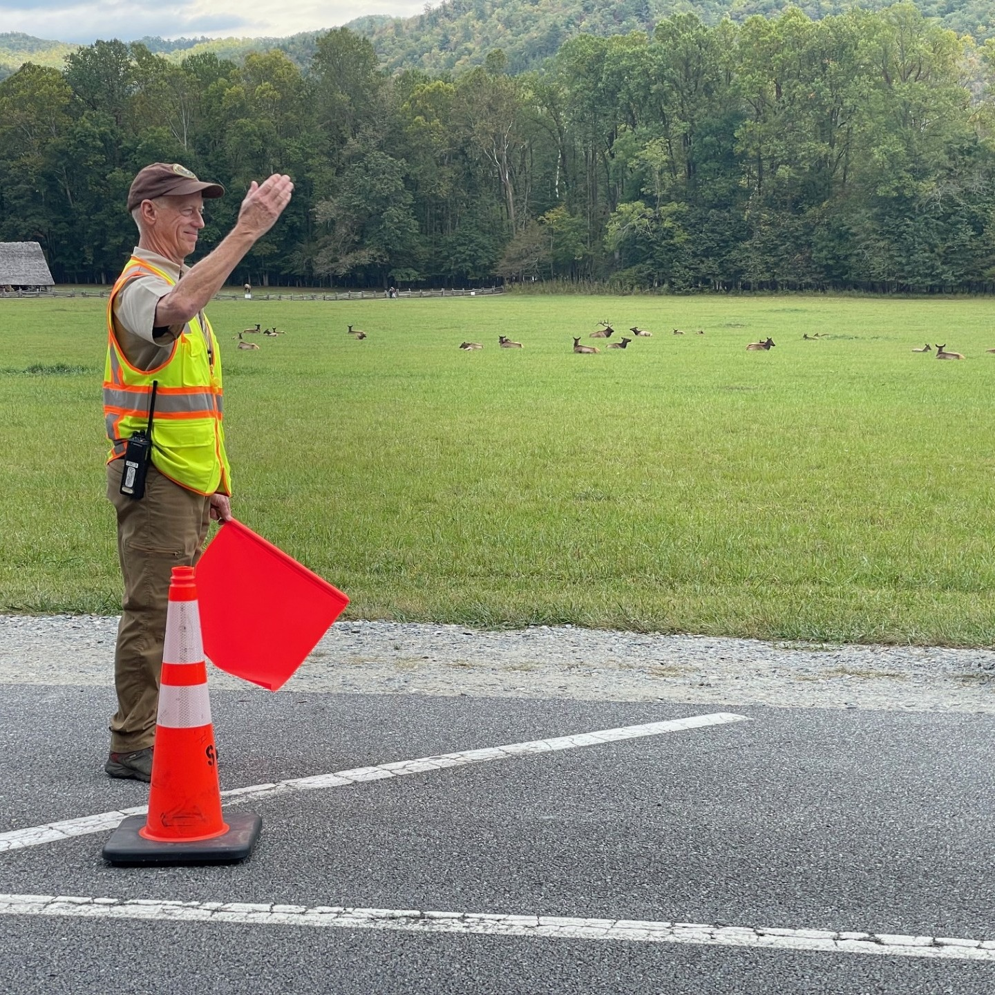 Elk Rover Volunteer directs traffic near elk field in Great Smoky Mountains National Park.