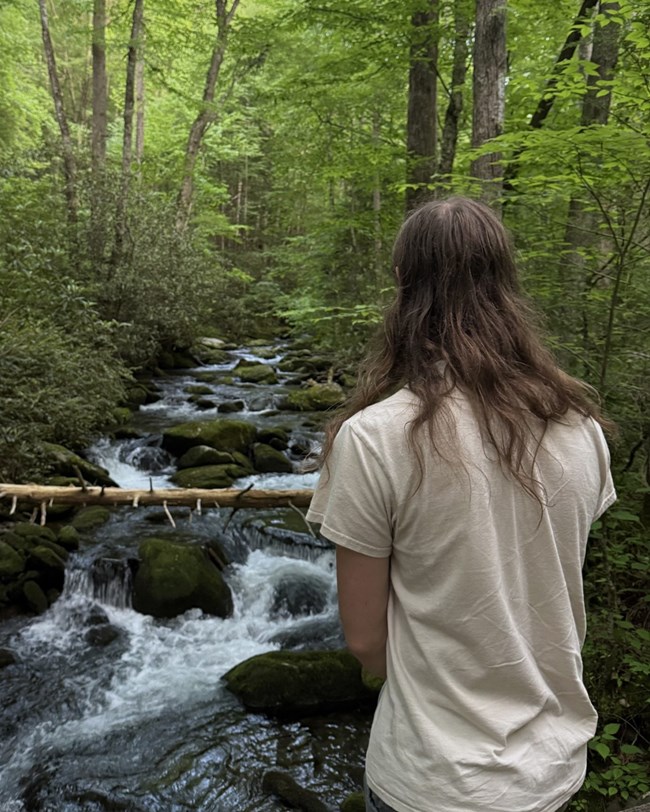 A person looking out at a stream in the forest