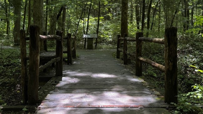 A short bridge on a trail in the forest.