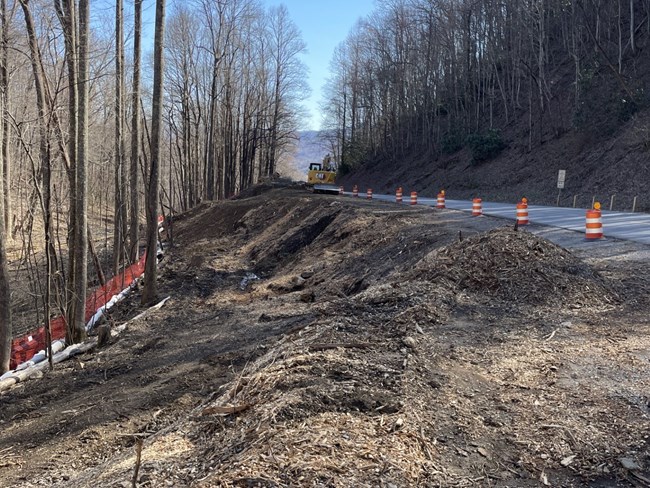 Side of a road that has been cleared