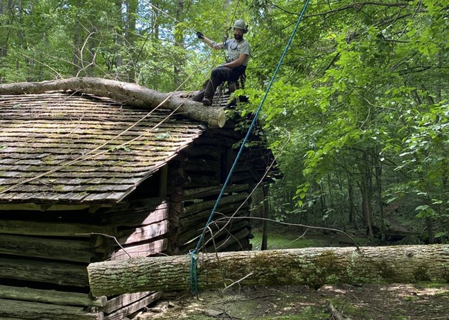 A cabin with a fallen tree atop its roof and an arborist hanging from a rope removing it.