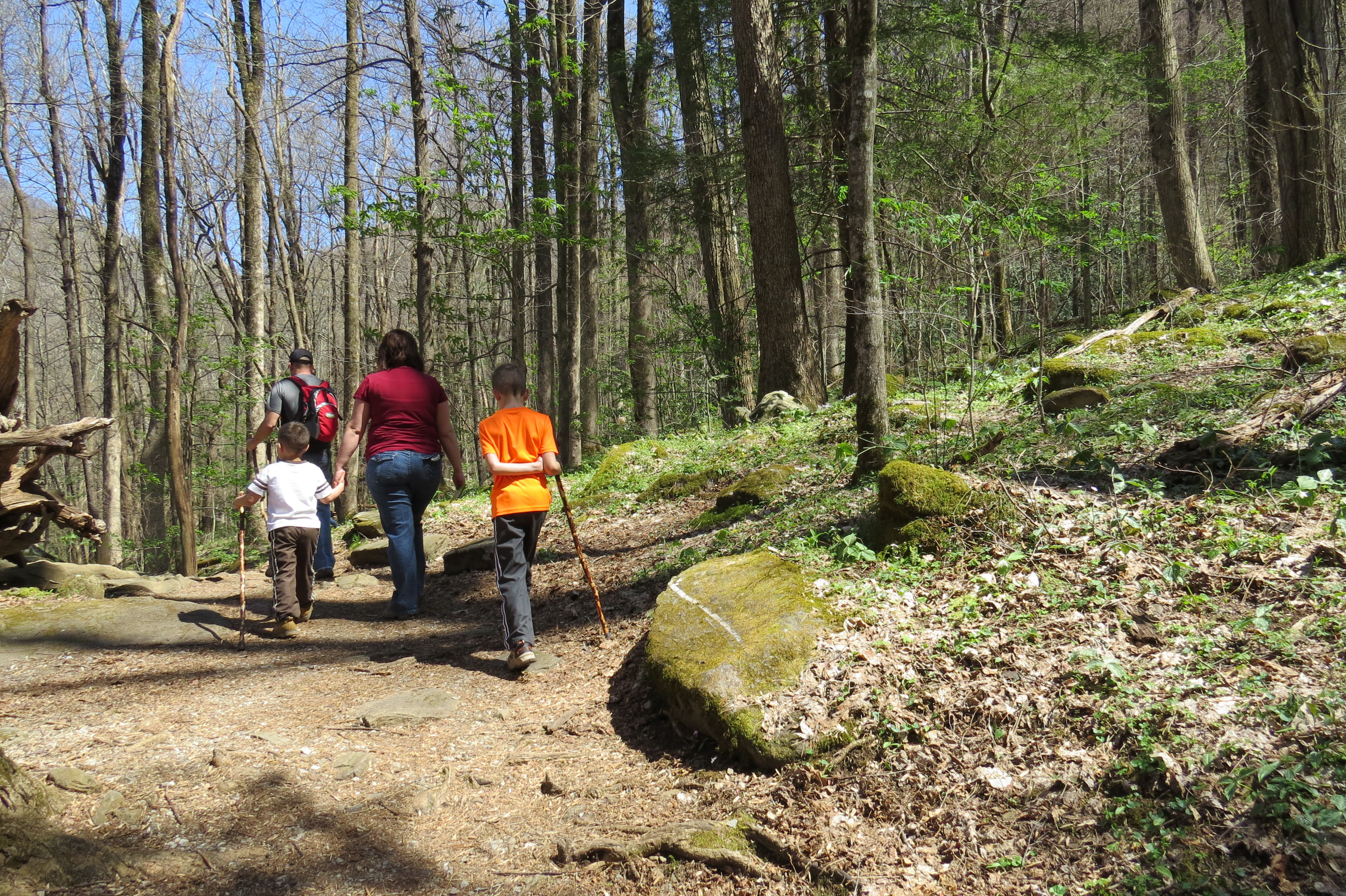 people on a trail in the woods.