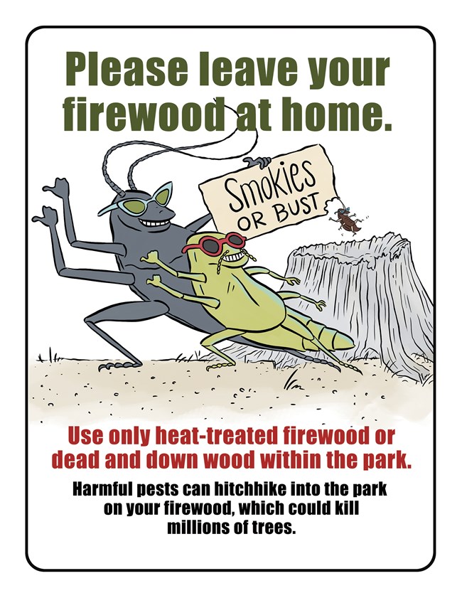 Two animated bugs hitchhiking with a sign, "Smokies or Bust". Other text, "Please leave your firewood at home. Use only heat-treated firewood or dead and down wood within the park. Harmful pests can hitchhike into the park on your firewood..."