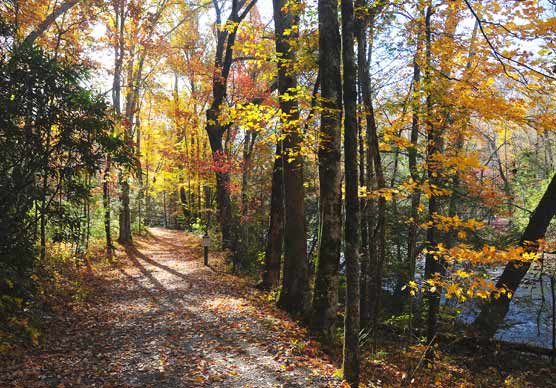 Lower elevation trails are good choices for viewing color this week.
