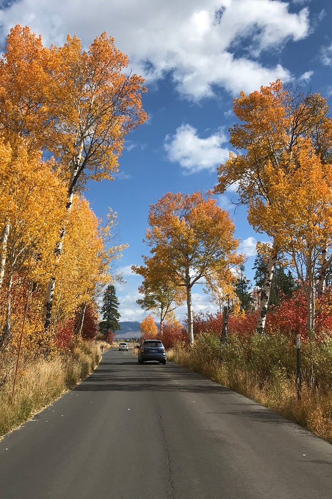 Two cars on a narrow road pass through trees with vibrant fall foliage.