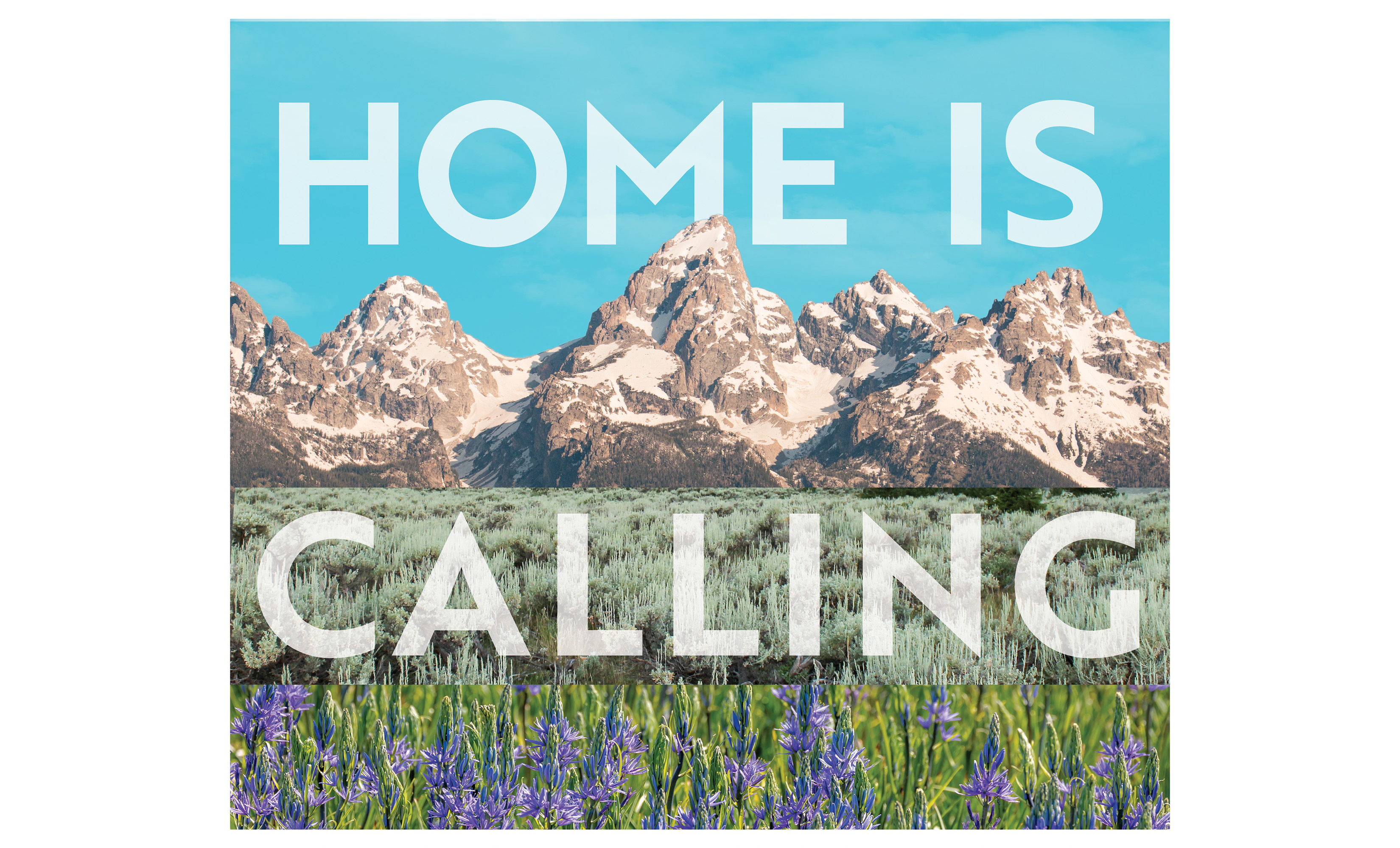 "home is calling" text laid over photos of tetons, sage, and camas plants.