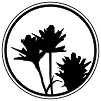 A silhouette of the plant described in the text