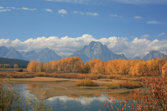 Oxbow Bend Fall Sunrise