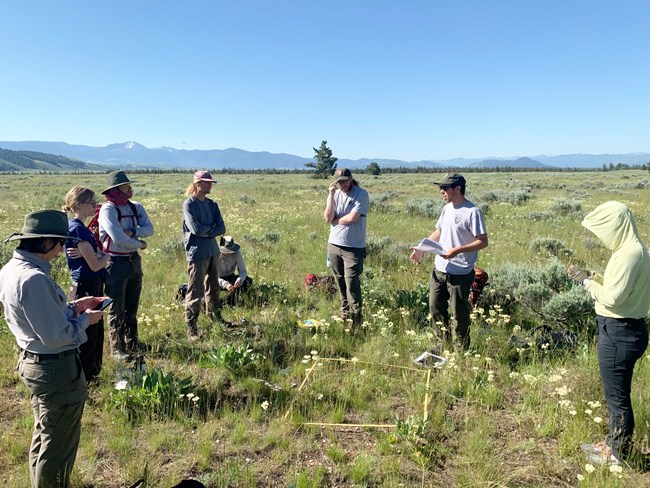 Field researchers gather around a square frame, placed on the ground