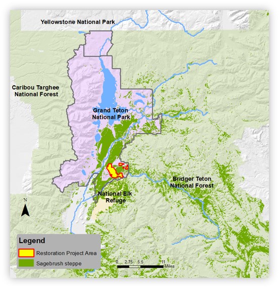 Map of the highlighting the position of the Antelope Flats project in relation to other sagebrush steppe communities in the park. The project area falls in a central position.