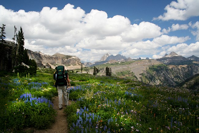 Backpacker hiking on a trail with trees, green meadows, and mountains beyond.