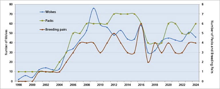 Graph showing the initial rise in wolf numbers followed by undulating changes.