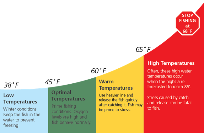 Graphic showing the different fishing conditions at various water temperatures. Stop fishing at 68 degrees F