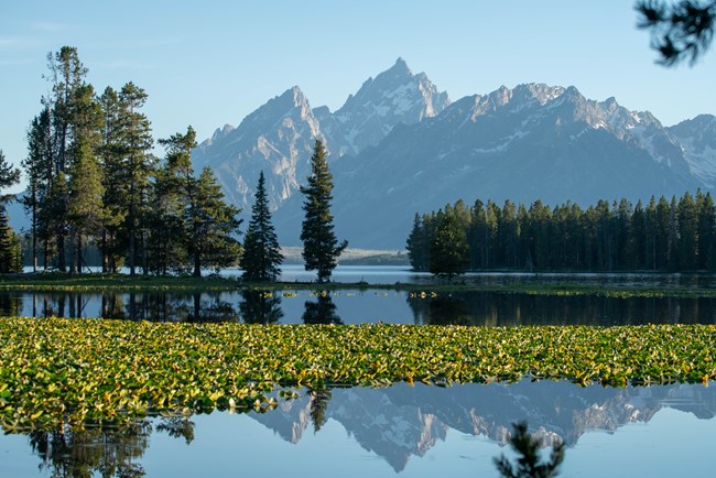 Heron Pond and Jackson Lake with Teton Range