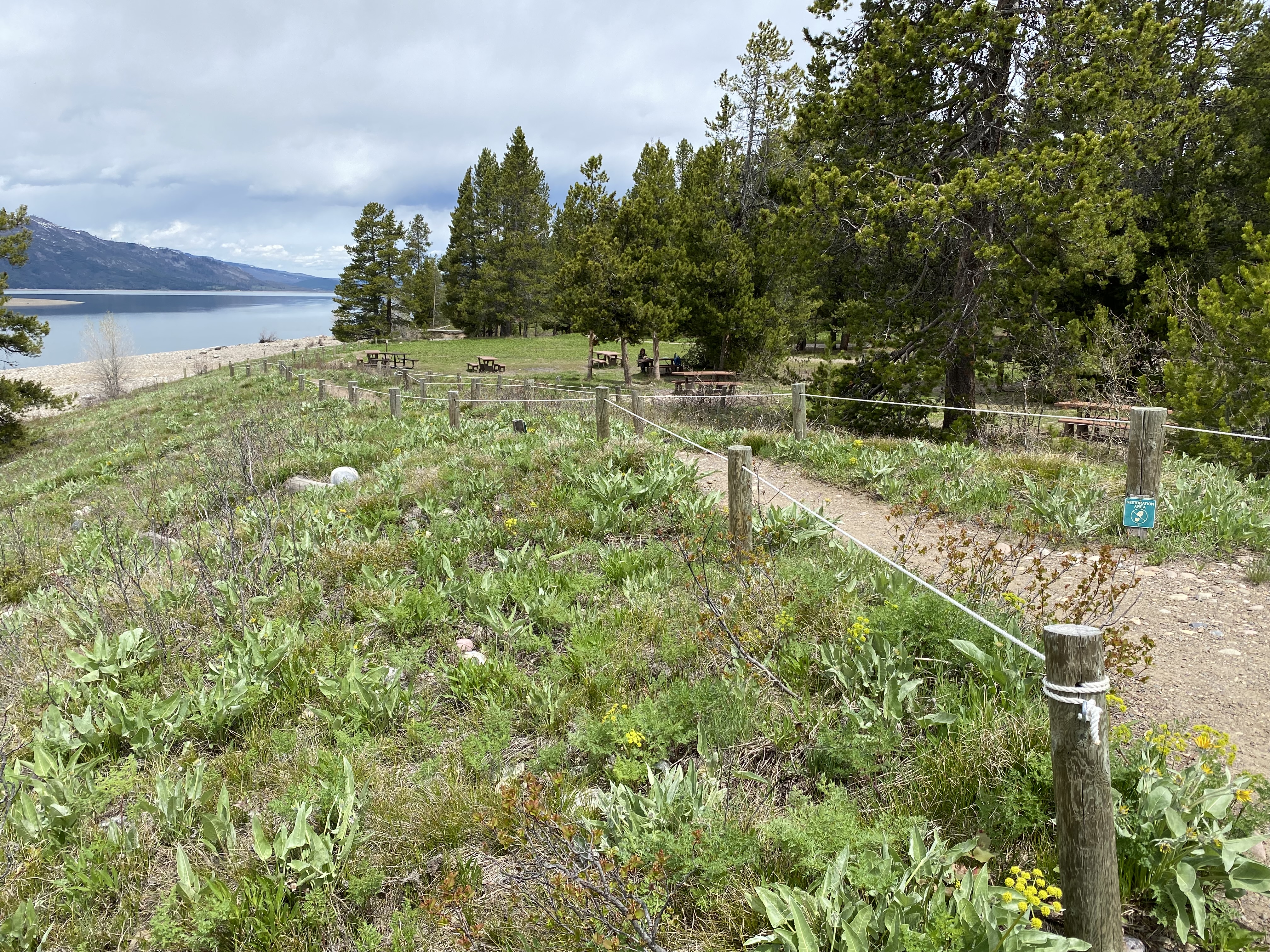 Natural pathway heading back to picnic area along shoreline.