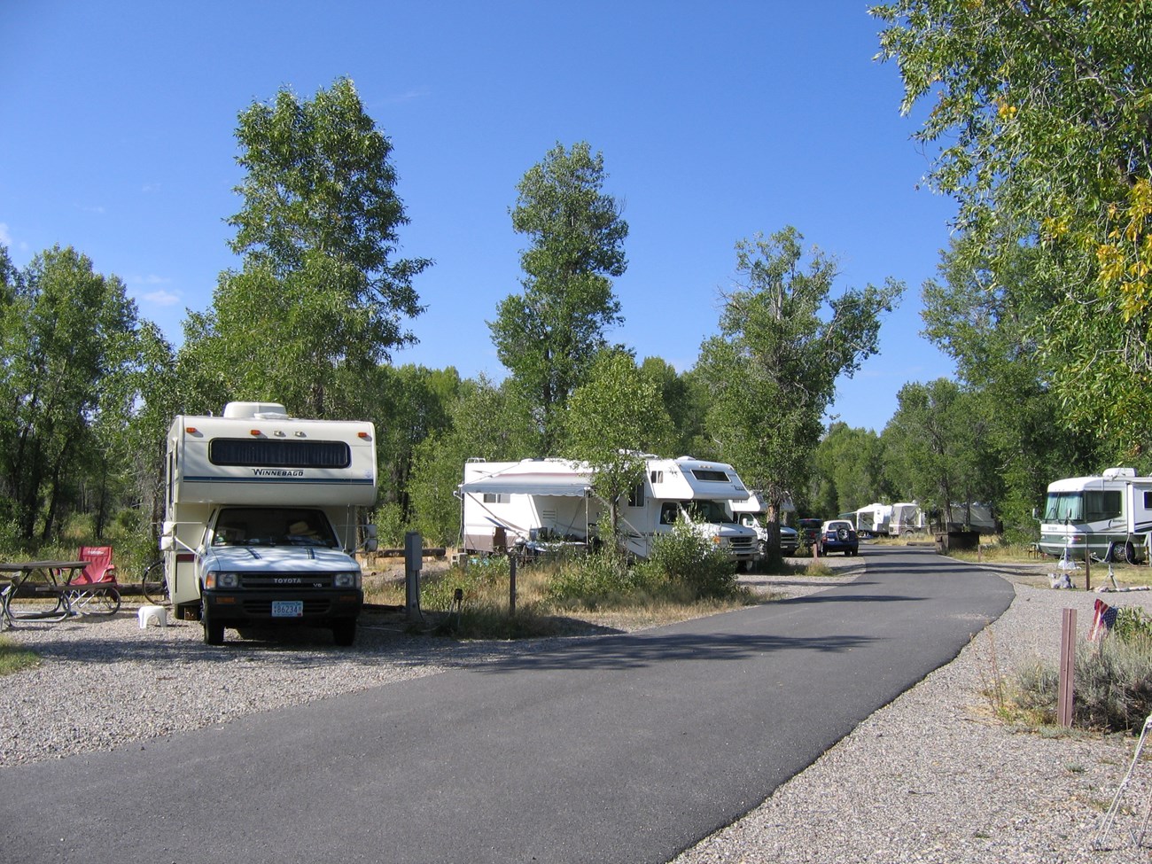 Multiple RV's parked in a campground.