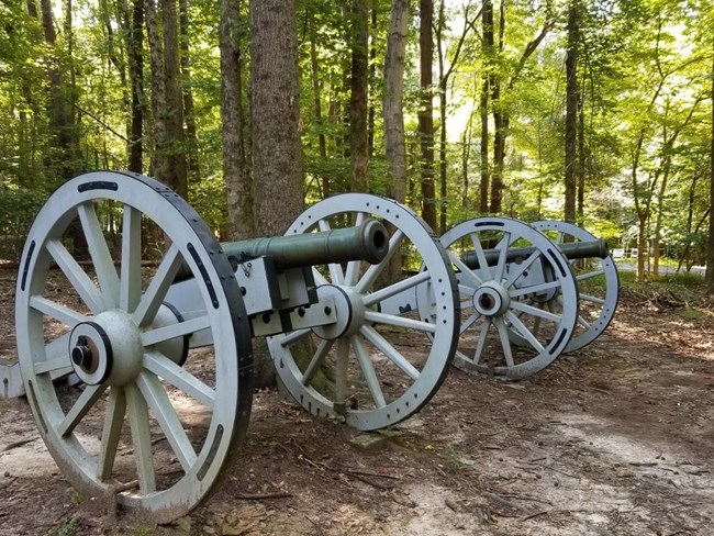 Two 6 pounder cannons stand in forest