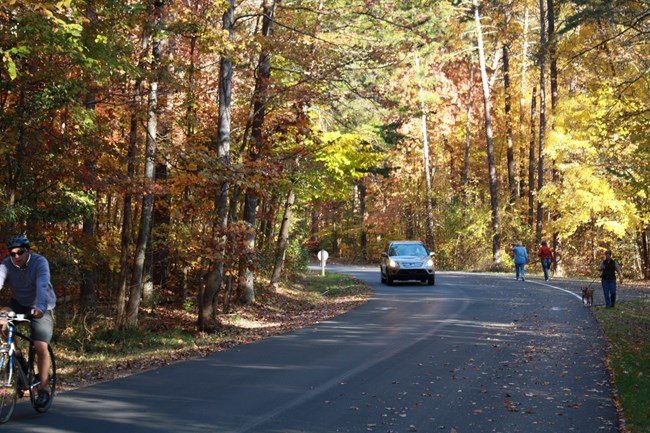 Paved tour road in the woods. A vehicle and a cyclist travel towards the camera on the left side of the image. Pedestrians walk away from camera on the right side.