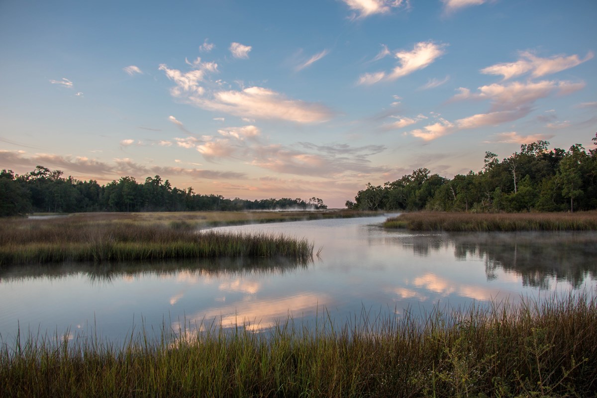 Bayous - Gulf Islands National Seashore (U.S. National Park Service)