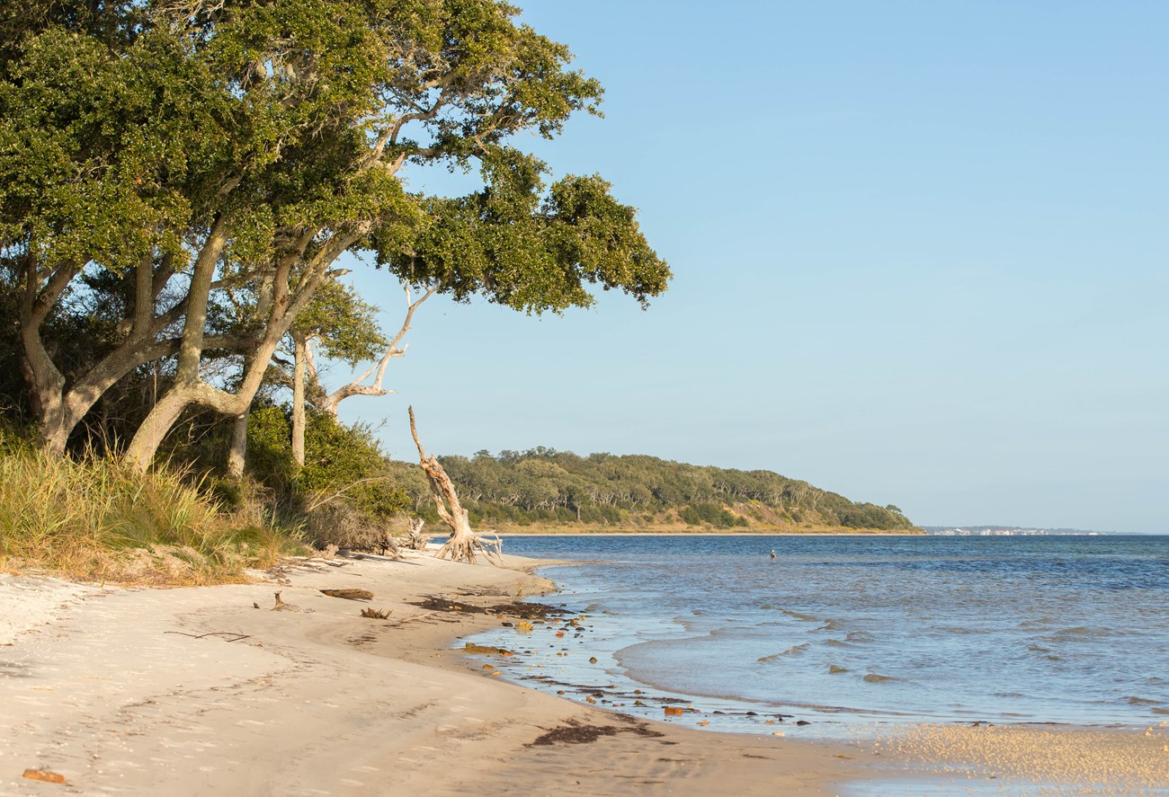 Green trees on the left and blue water on the right. Blue sky and green trees in the background. White sand in the foreground.