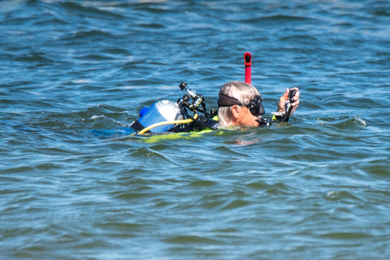 Person swimming in water