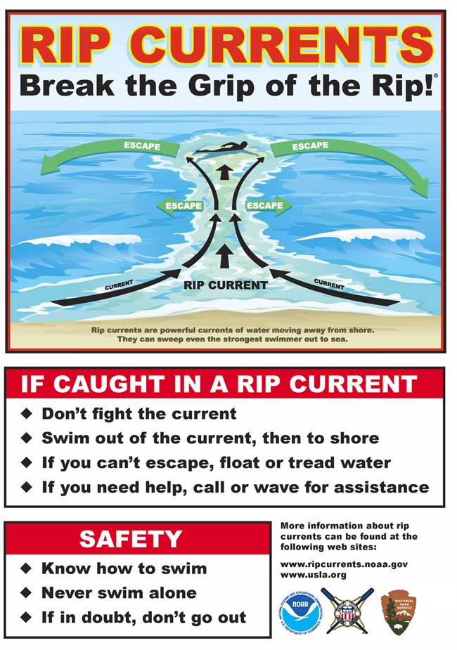 Sign with a graphic showing how to survive a rip current.