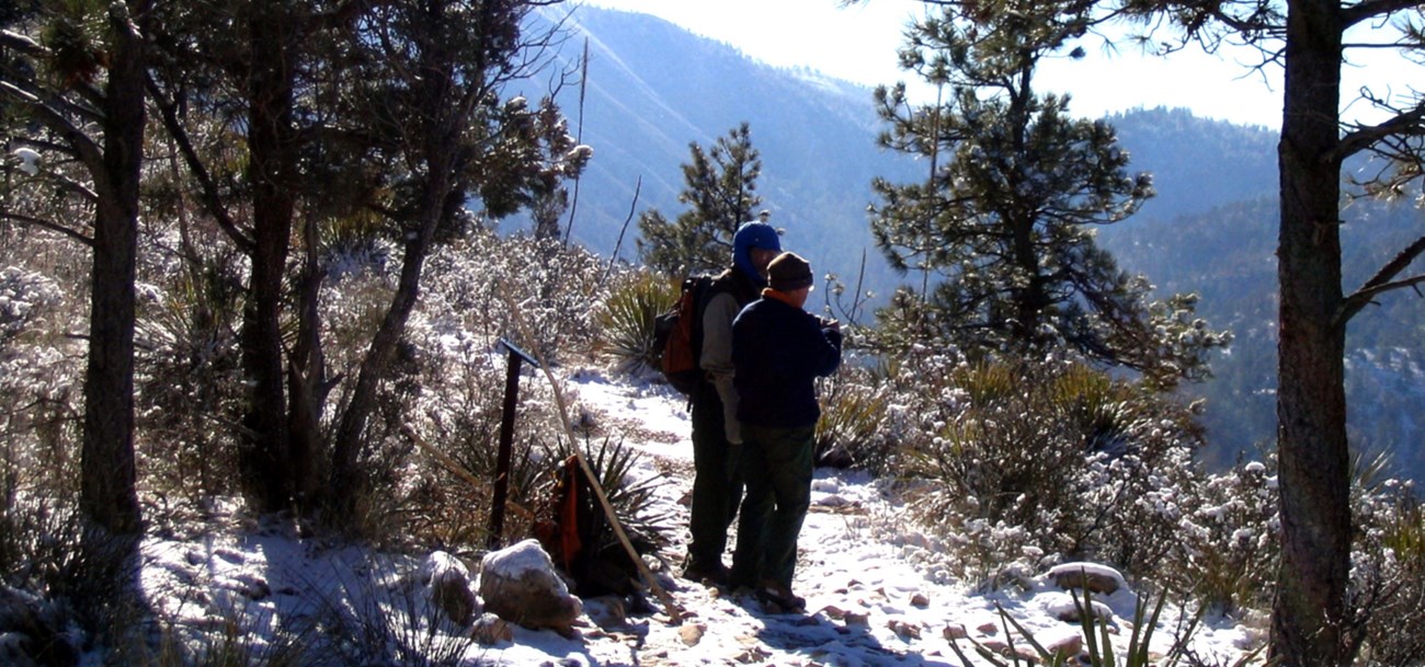 Two hikers in warm clothes stop on a trail in a snowy forest