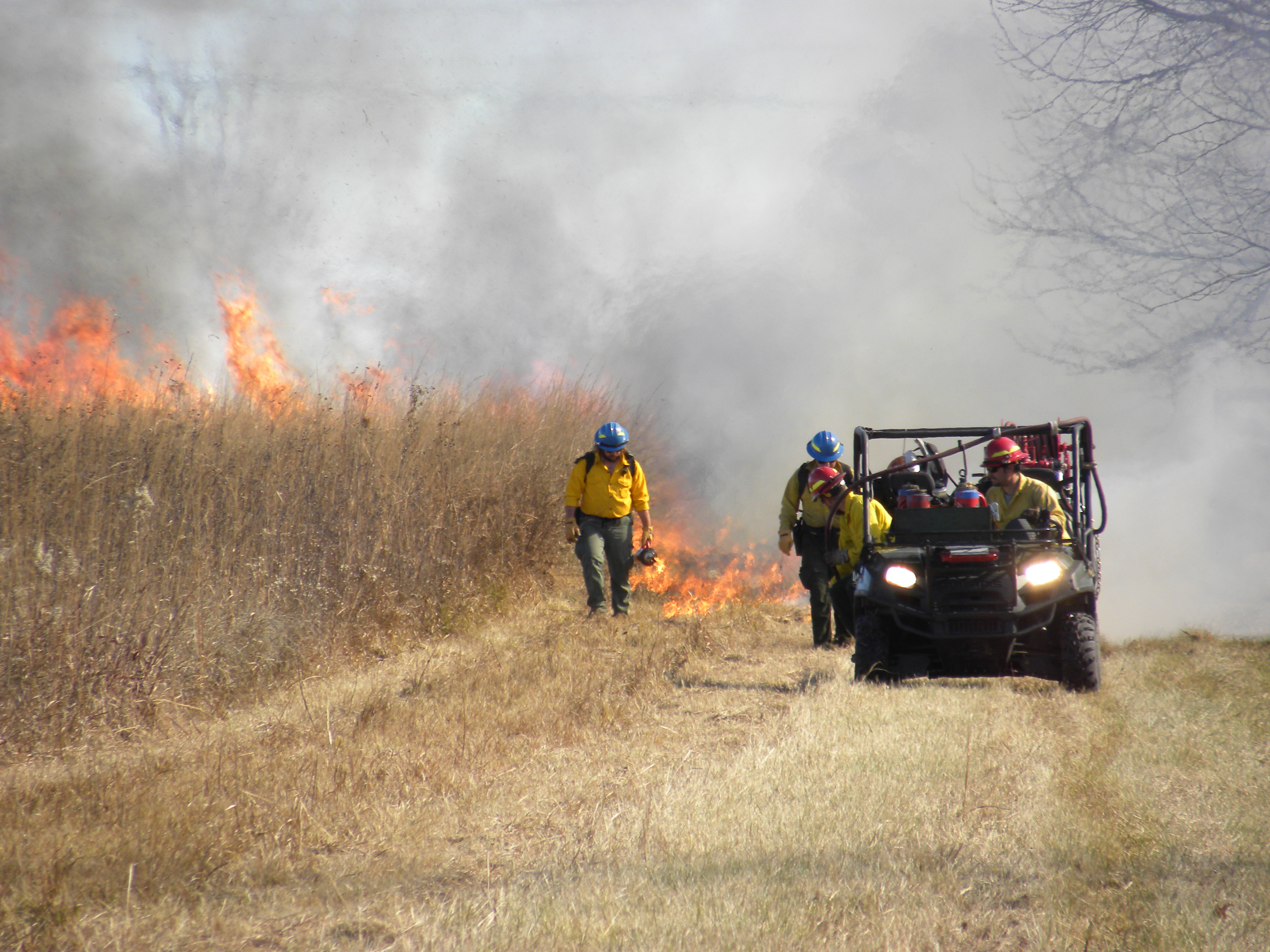 Prescribed burn at the park. Image includes a wildland fire fighter walking a fire line and 3 other wildland fire fighters near a vehicle.