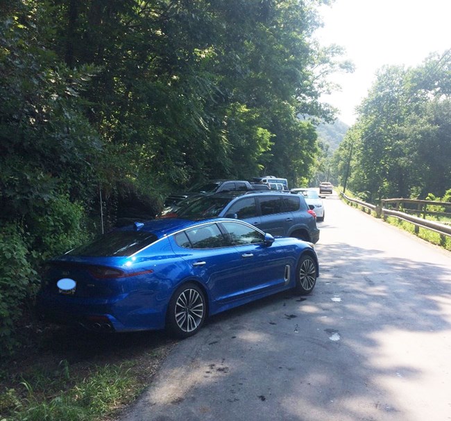 Vehicles parked on the side of a narrow, tree-lined road
