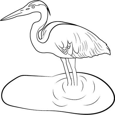 A black and white drawing of a Great Blue Heron