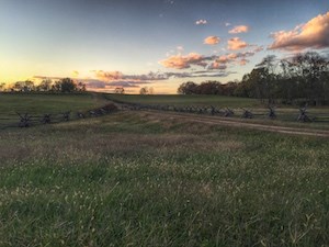 field with farm lane and worm fence during a sunset
