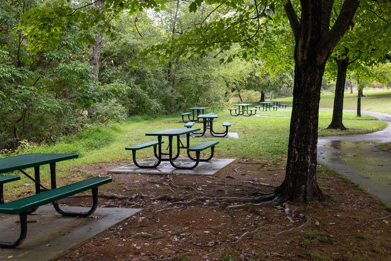A line of picnic tables on concrete pads next to trees and a paved sidewalk.