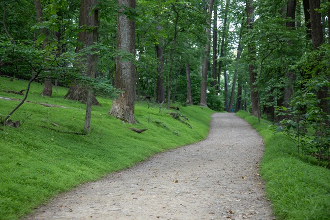 A wide gravel path cuts through trees and lush greenery.