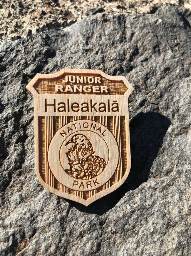 Wooden badge with an 'apapane on an 'ōhi'a flower