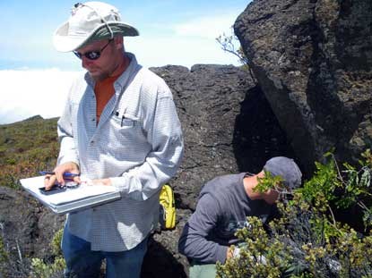 Haleakalā's Vegetation Management Crew records endangered plant outplantings as part of their Inventory and Monitoring Program.