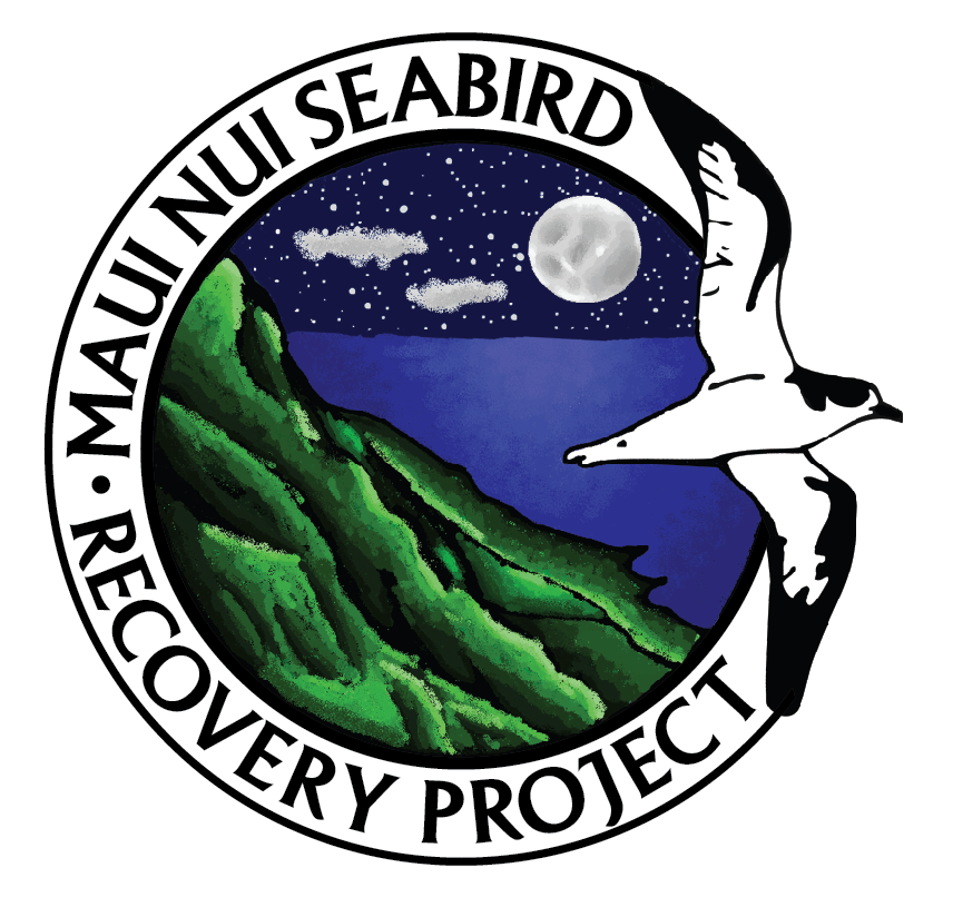 MNSRP logo