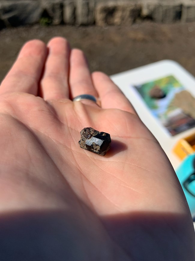 A black crystal rests in the palm of a hand.