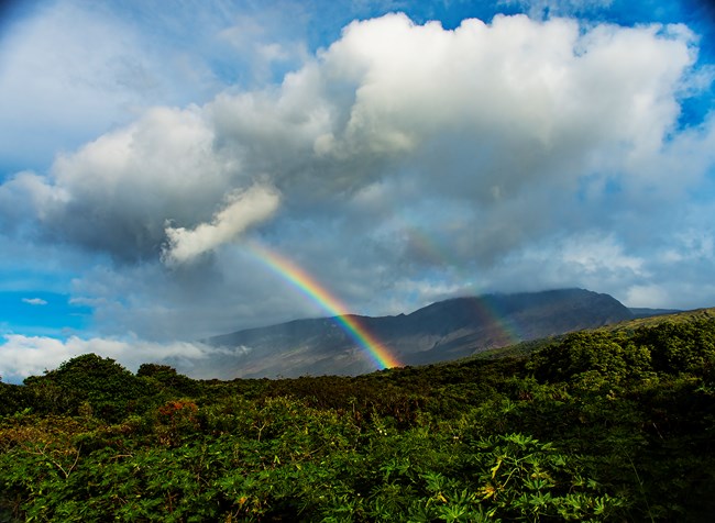A rainbow and clouds hang over a lush green vegetation covered landscape