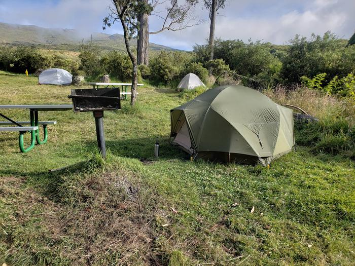 A green tent set up with a picnic table and grill