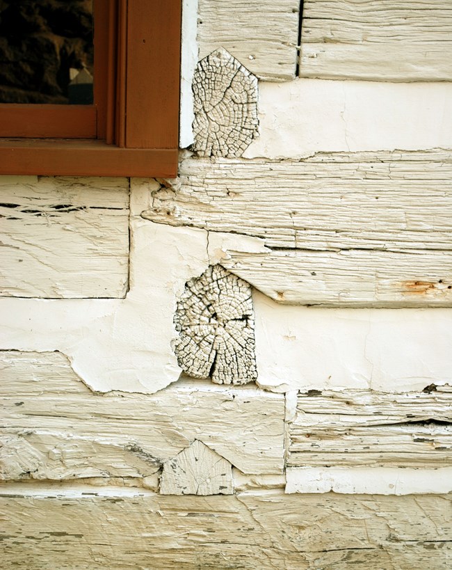 Up close of white log cabin showing the logs alternate at a joint.