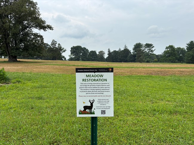Meadow Restoration Sign, with meadow in the background