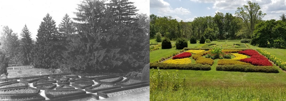 black and white photo of garden and color image of garden